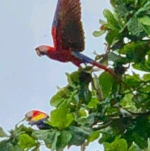 Meet your Posher, Vicki